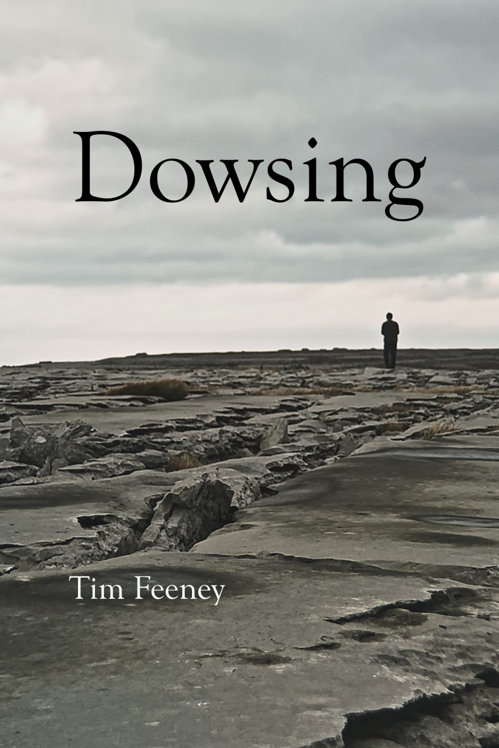 Feeney_Dowsing_poster_image
