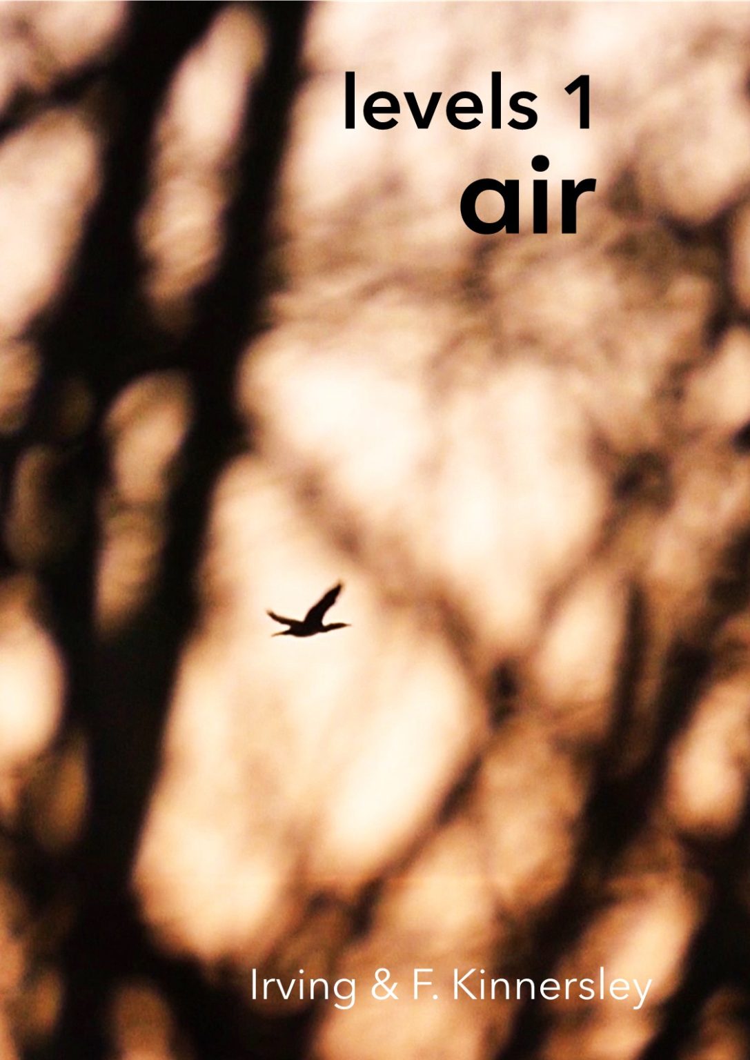 Levels 1 Air Poster A3