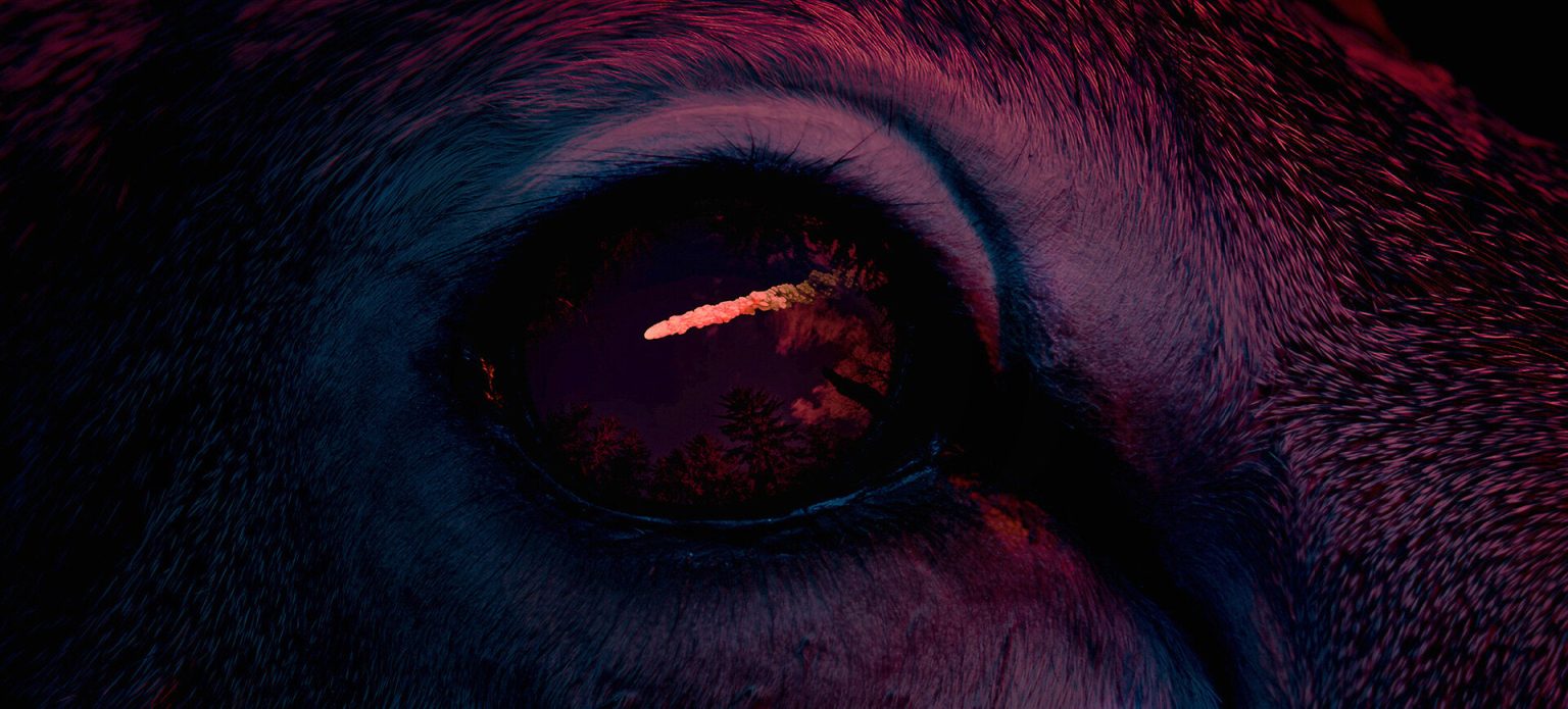 Impivaara – A New World