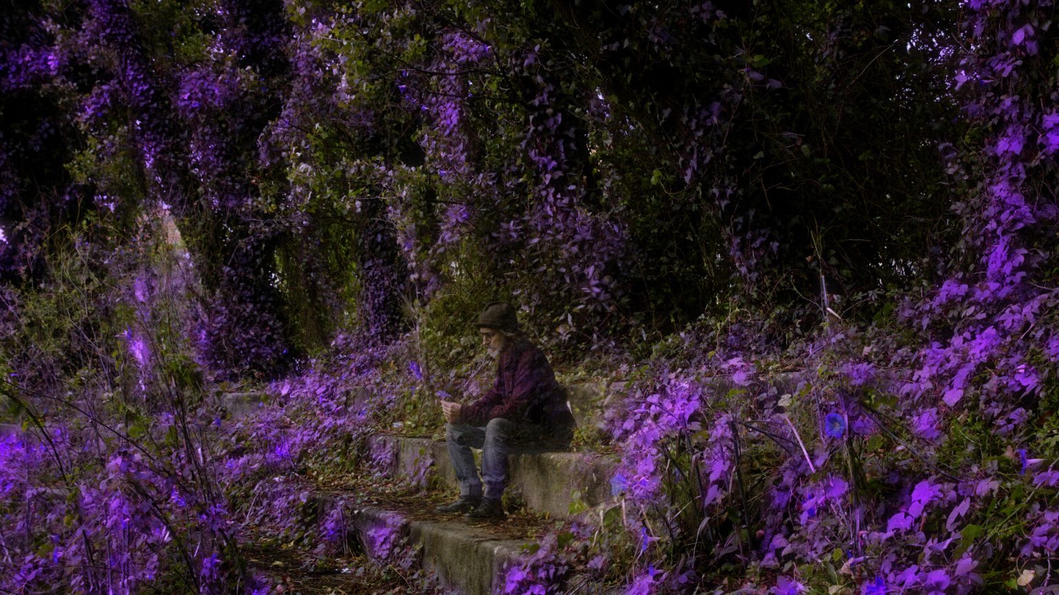 Ultravioleta