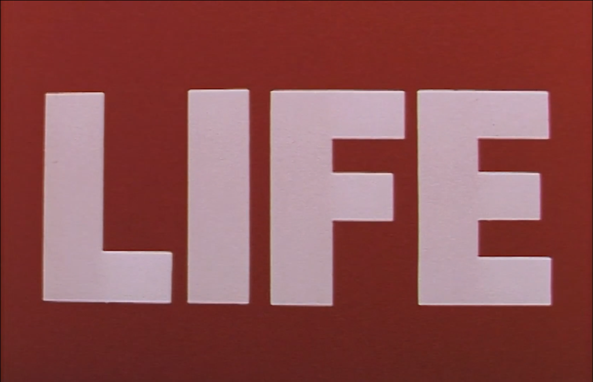 13 Fragments & 3 Narratives from Life