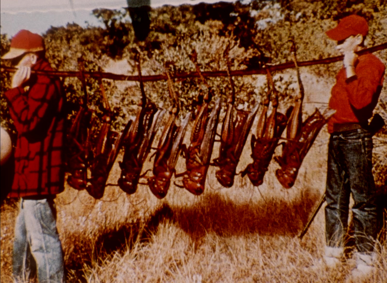 Last Chants for a Slow Dance (dead end)