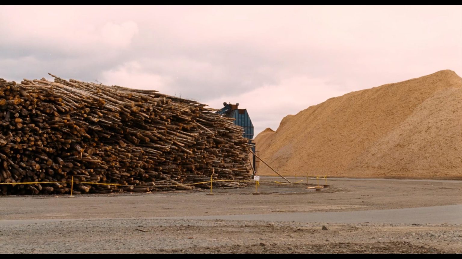 The Bed You Sleep In