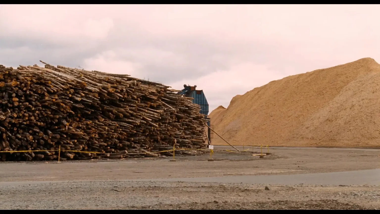 The Bed You Sleep In