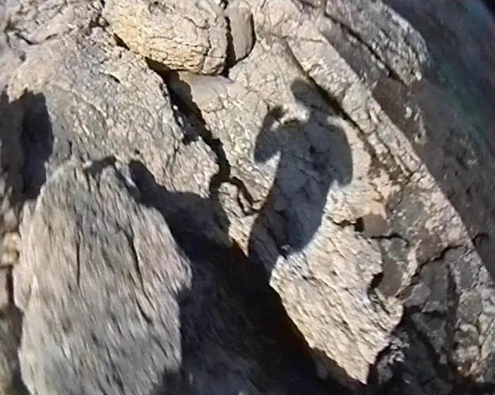 Escape