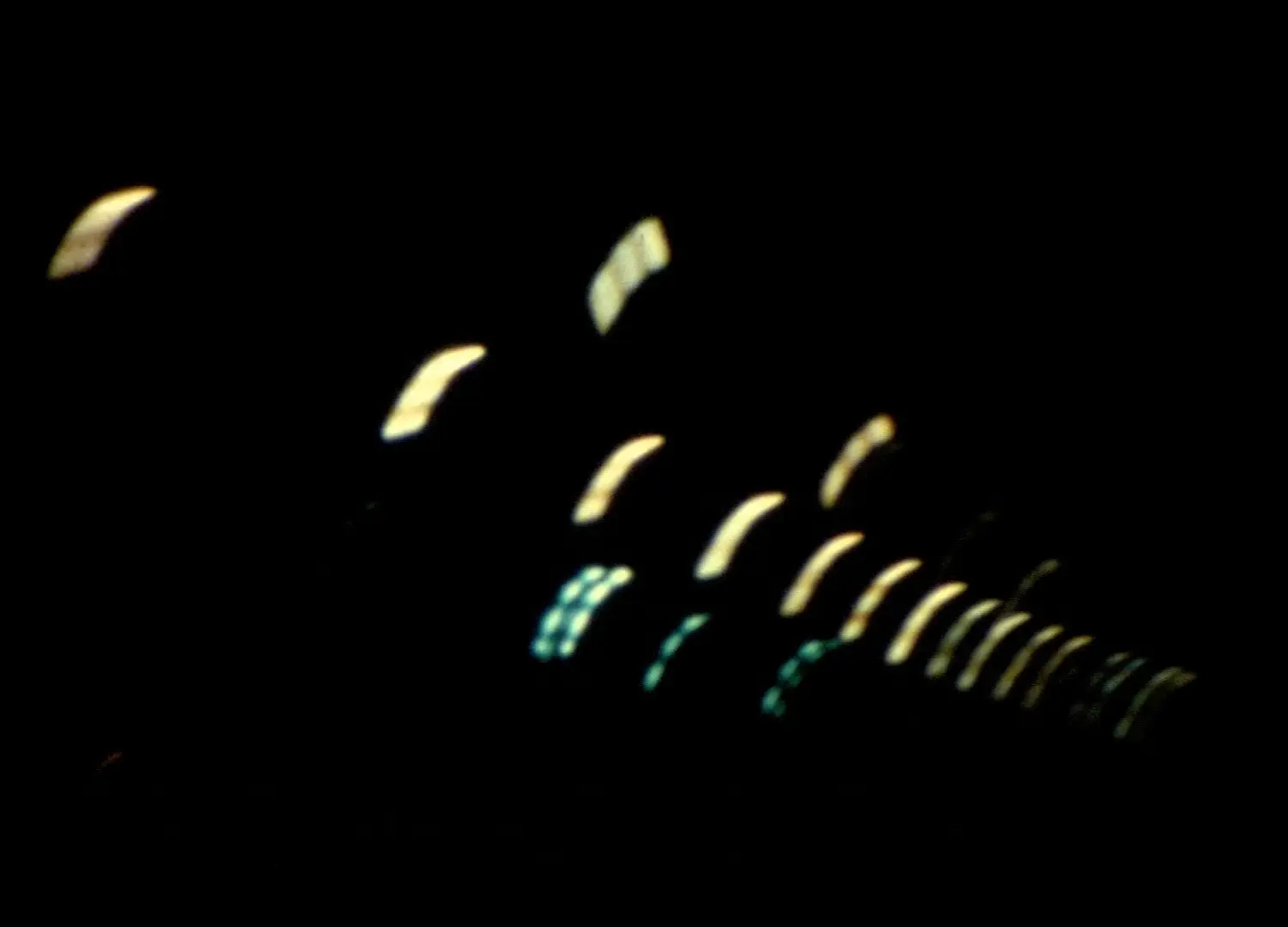 fluorescencije_(1967)_-_ante_verzotti0
